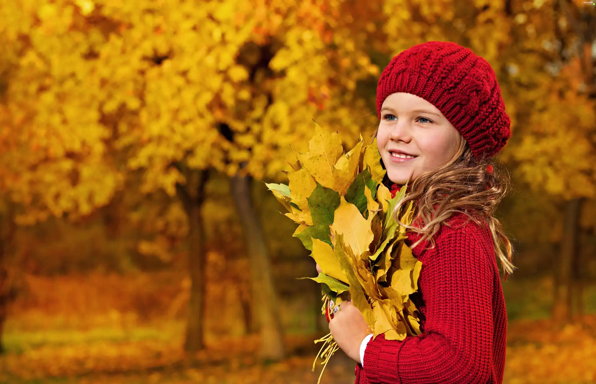 Park, autumn, Leaf, small bunch, girl