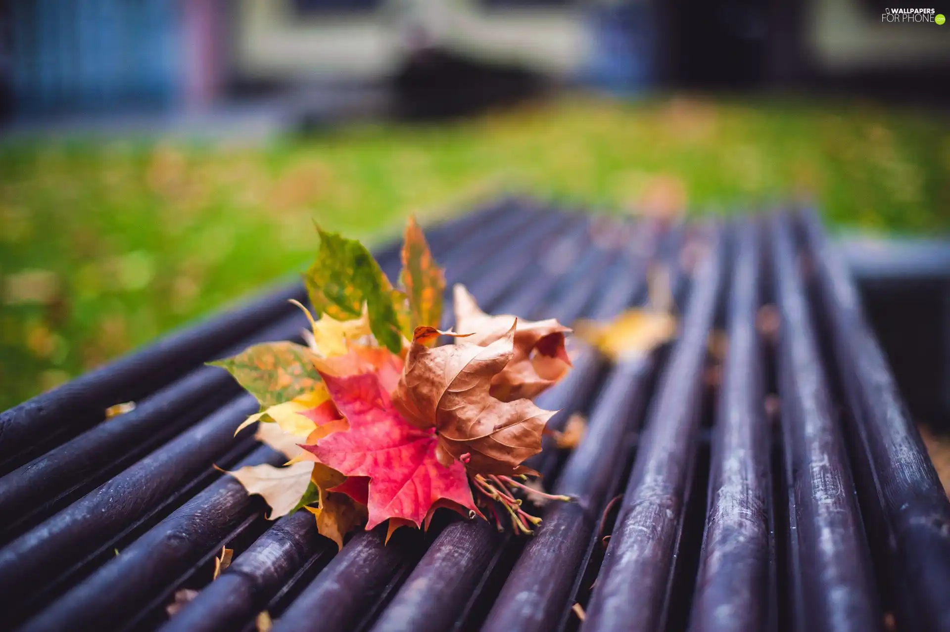 Park, autumn, Leaves, Bench, small bunch