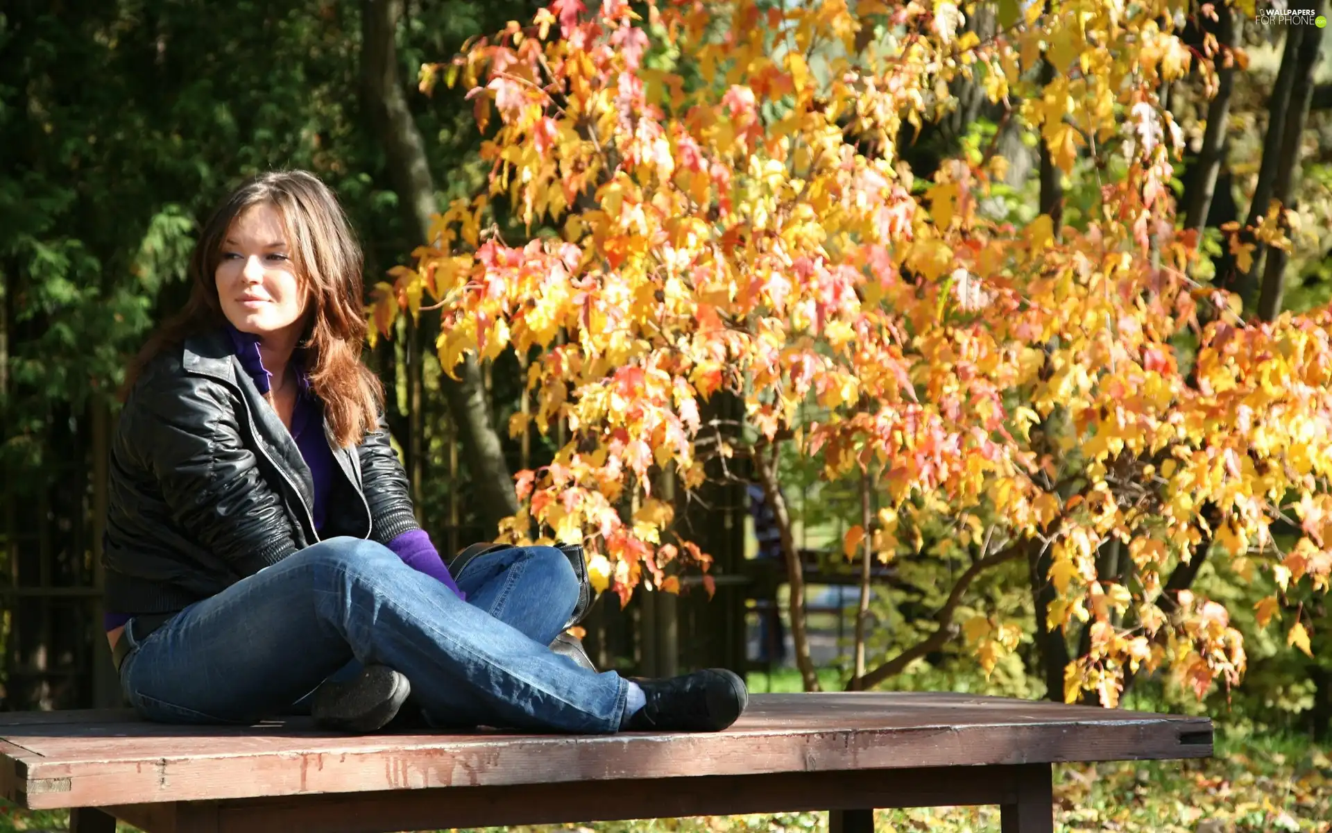 Park, Women, Bench