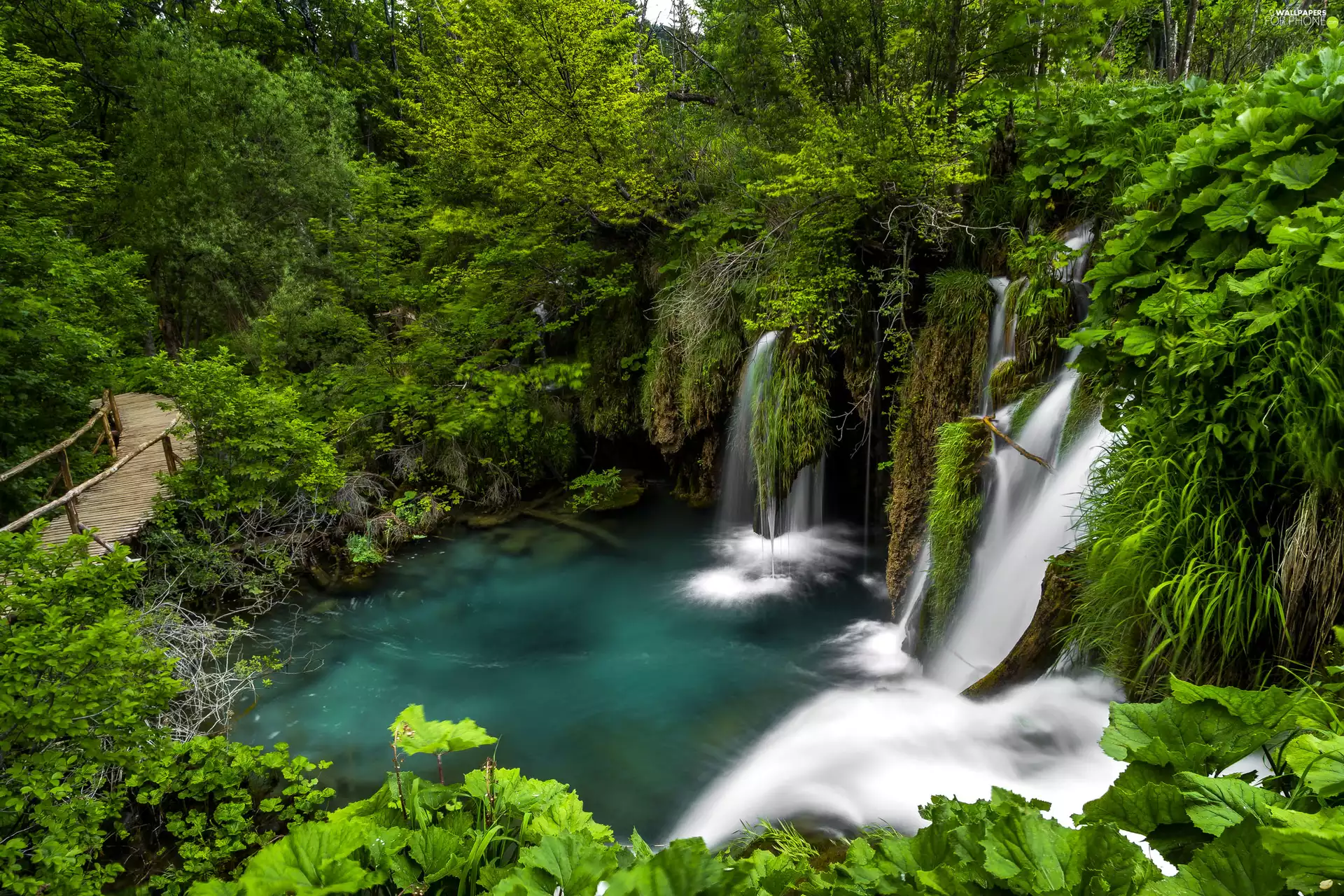 VEGETATION, bridges, Coartia, waterfall, Plitvice Lakes National Park