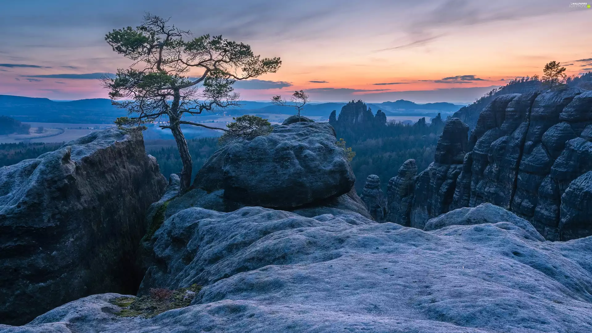 rocks, Germany, Děčínská vrchovina, Great Sunsets, Saxon Switzerland National Park, trees, pine
