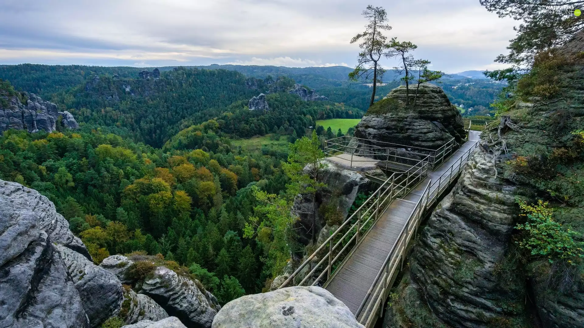 trees, Děčínská vrchovina, viewes, rocks, Saxon Switzerland National Park, Germany, Observation Deck, Platform, forest