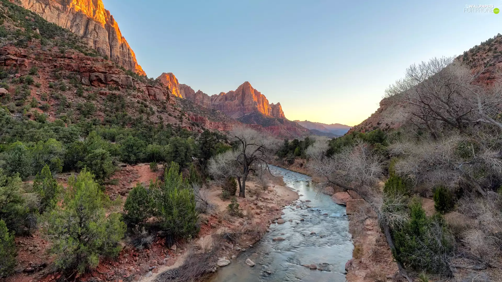 viewes, Watchman Mountains, Utah State, trees, Zion National Park, Virgin River, The United States