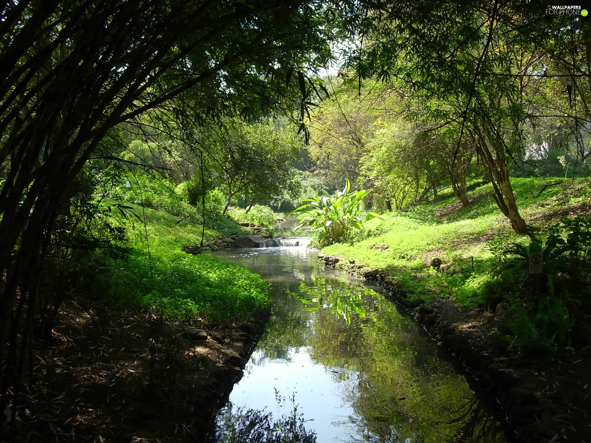 Flowers, Garden, Park, summer, green, River