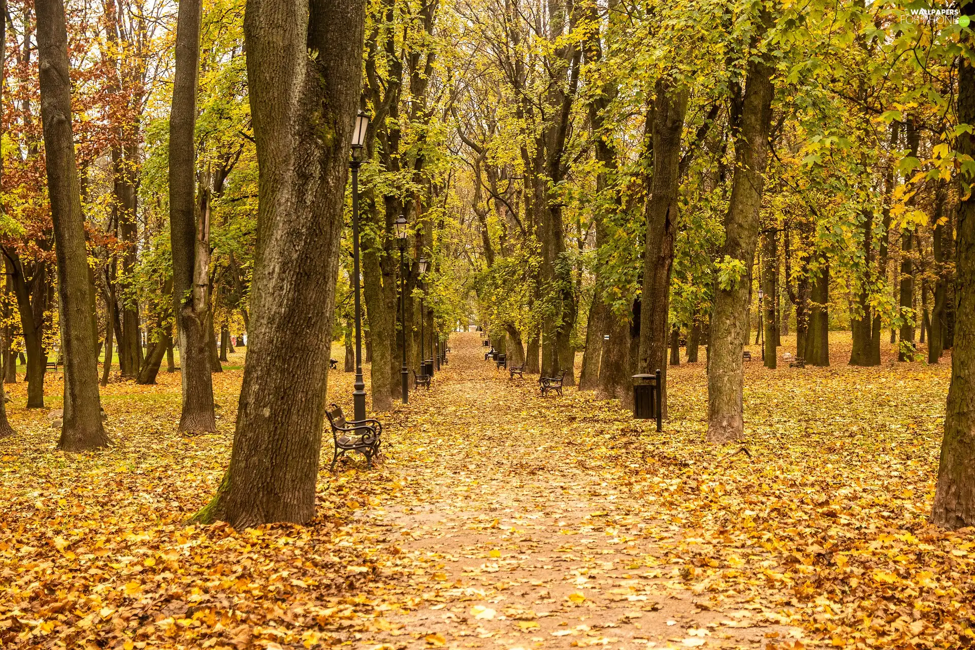 Park, autumn, fallen, Leaf, bench, lanterns, trees, viewes, Way