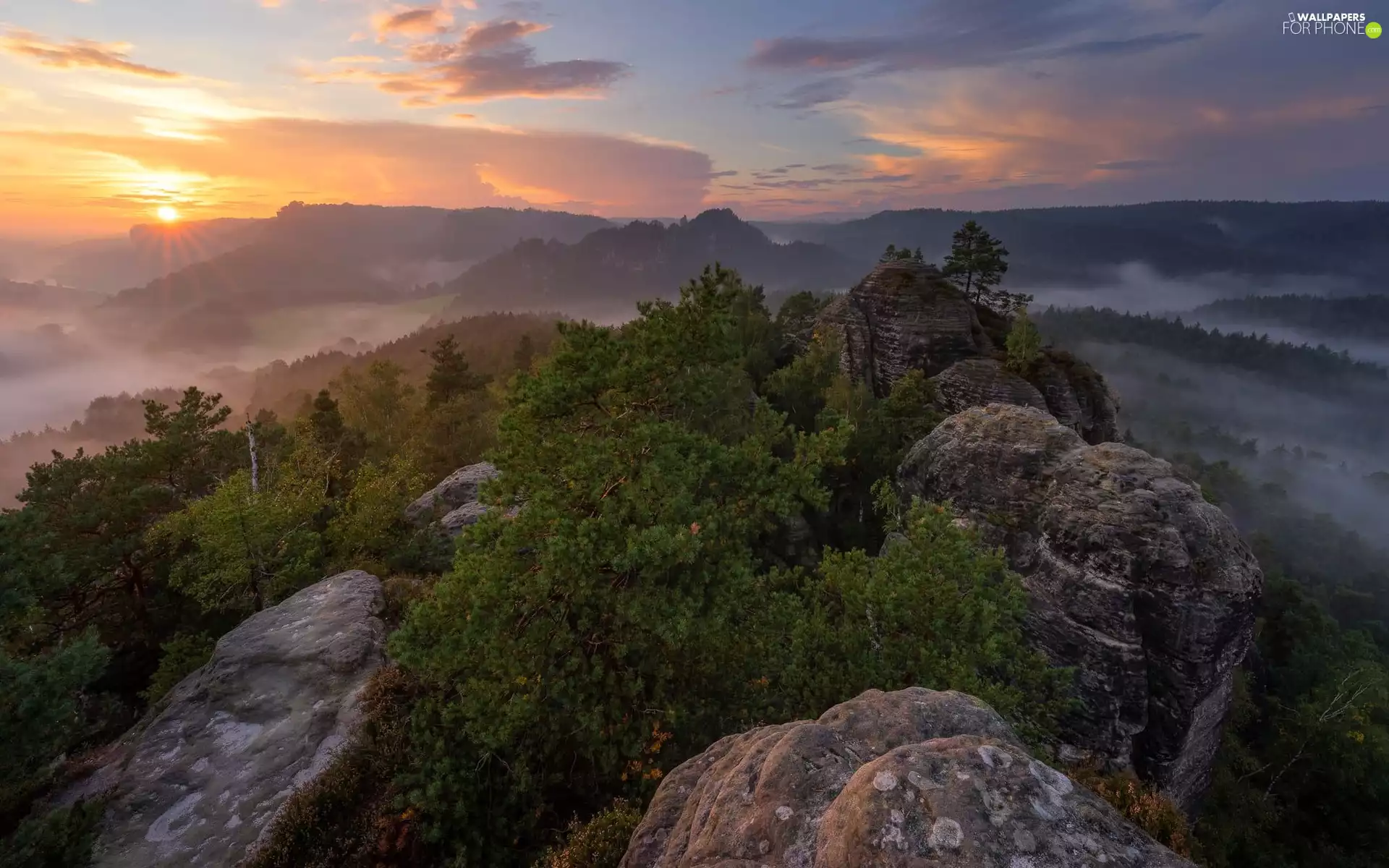 Saxon Switzerland National Park, Germany, Děčínská vrchovina, Sunrise, trees, viewes, clouds, rocks, Fog