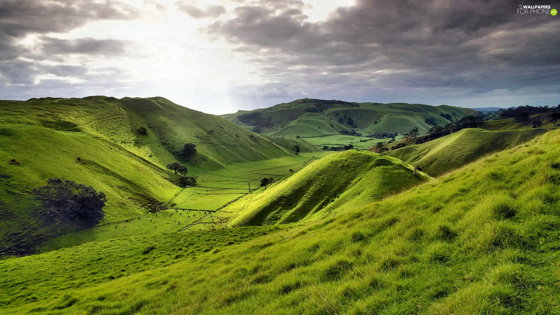 pasture, Mountains, field, grass, clouds