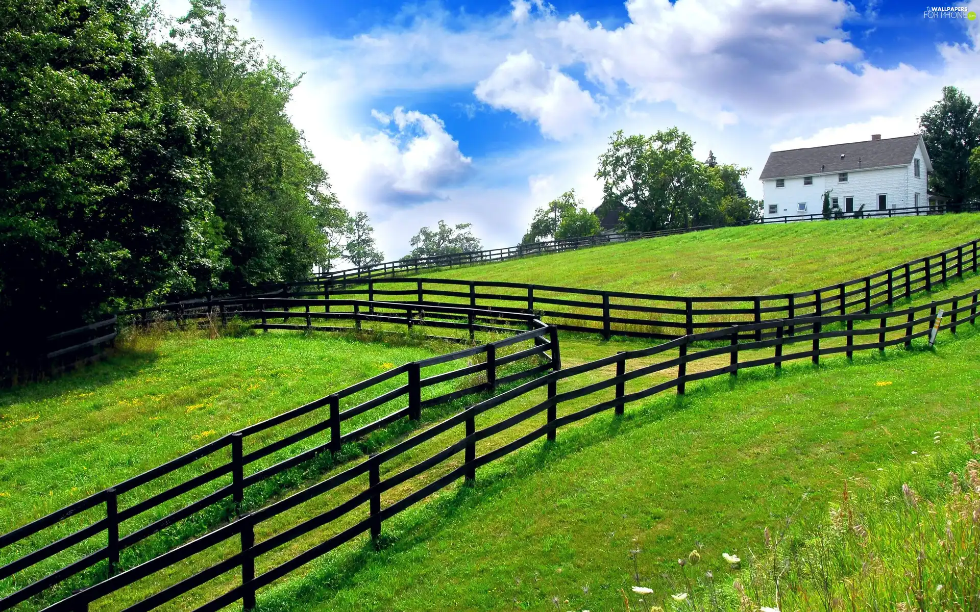 pastures, house, wooden, Fance, pens