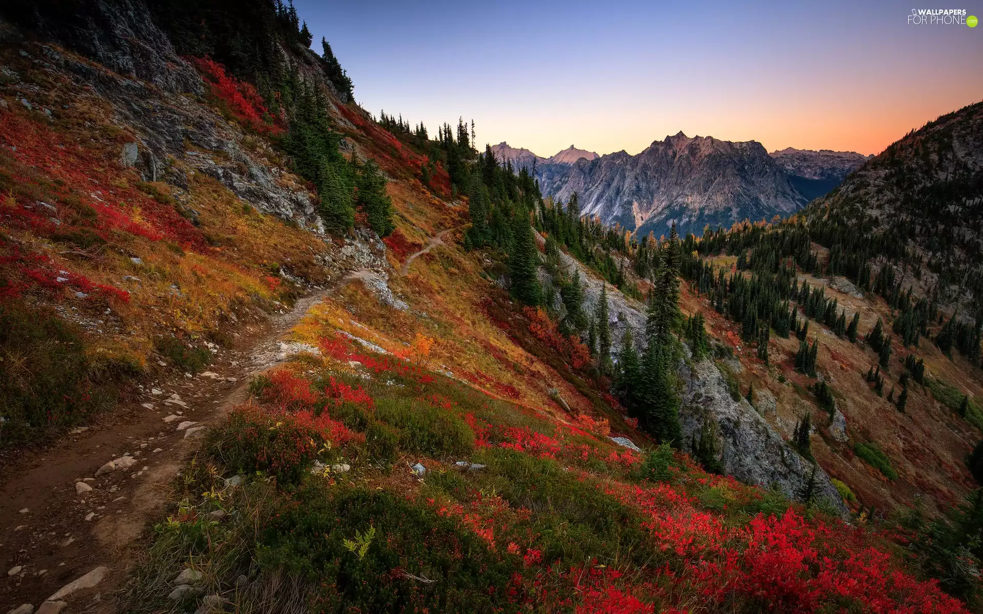 VEGETATION, Path, autumn, Coloured, Mountains
