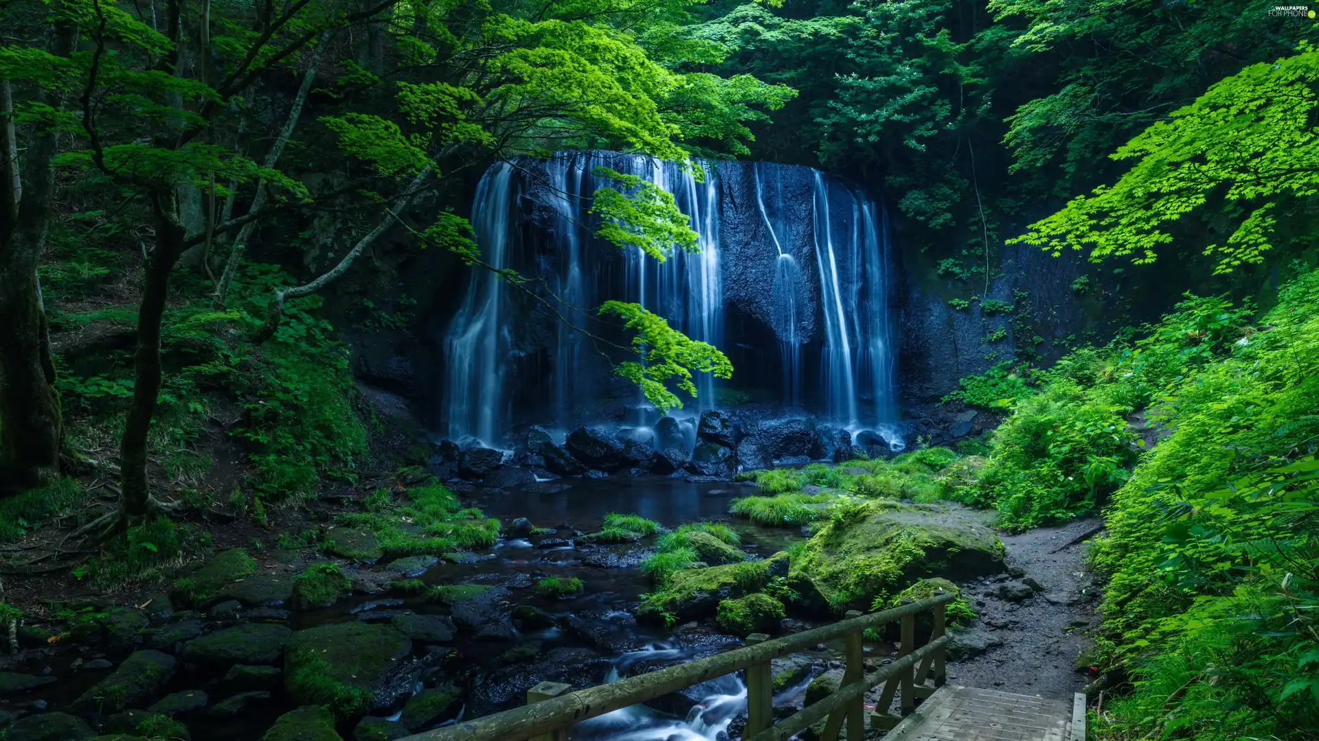 Path, stream, trees, viewes, waterfall