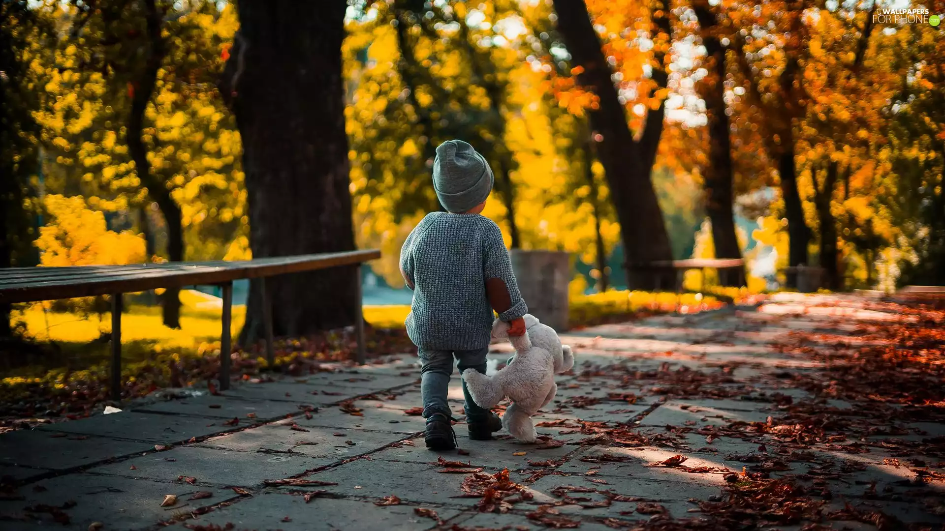 toy, teddy bear, Pavement, Kid, Park