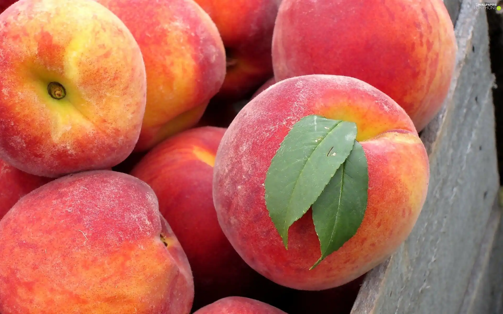 browned, peaches