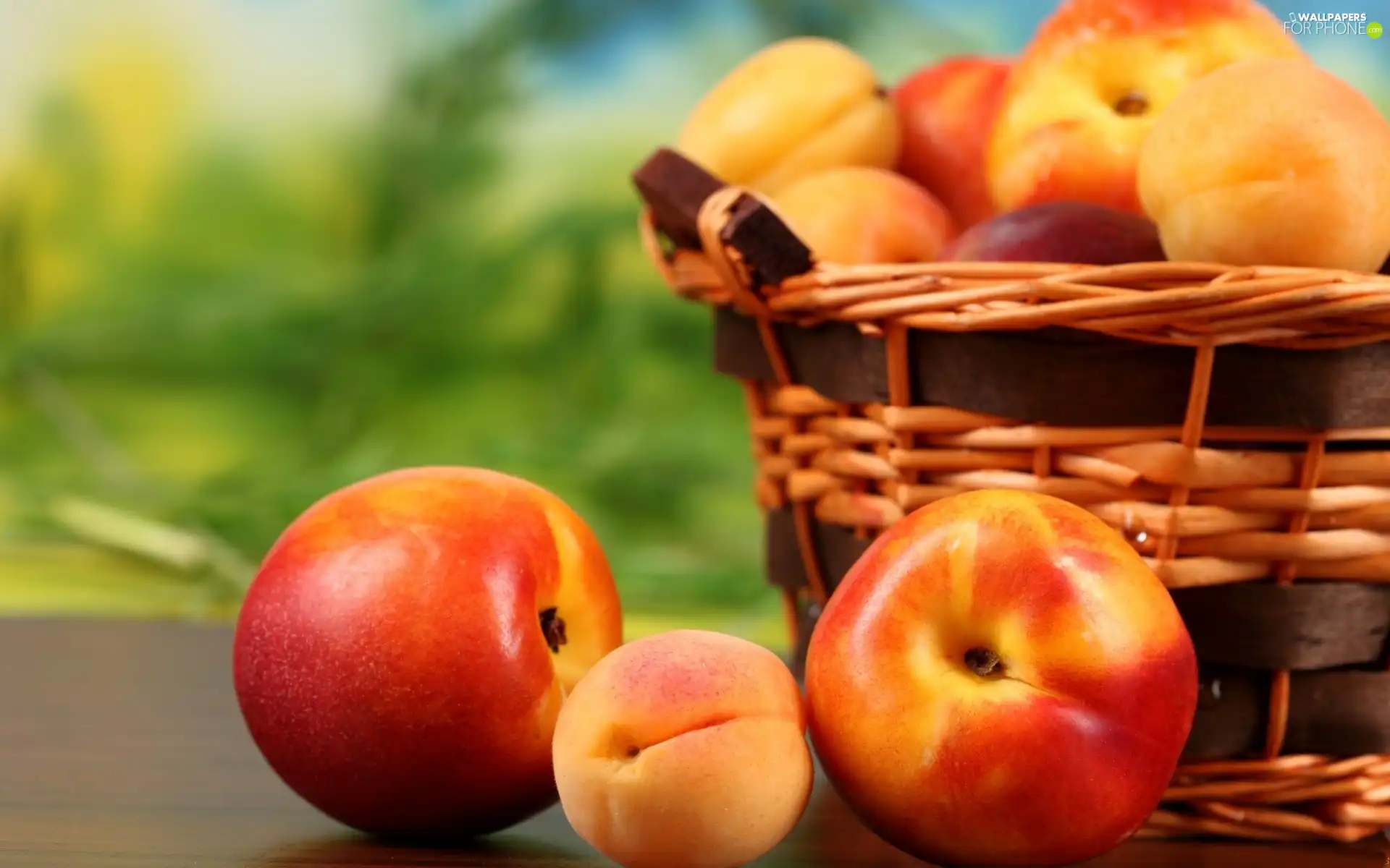 peaches, basket, nectarines