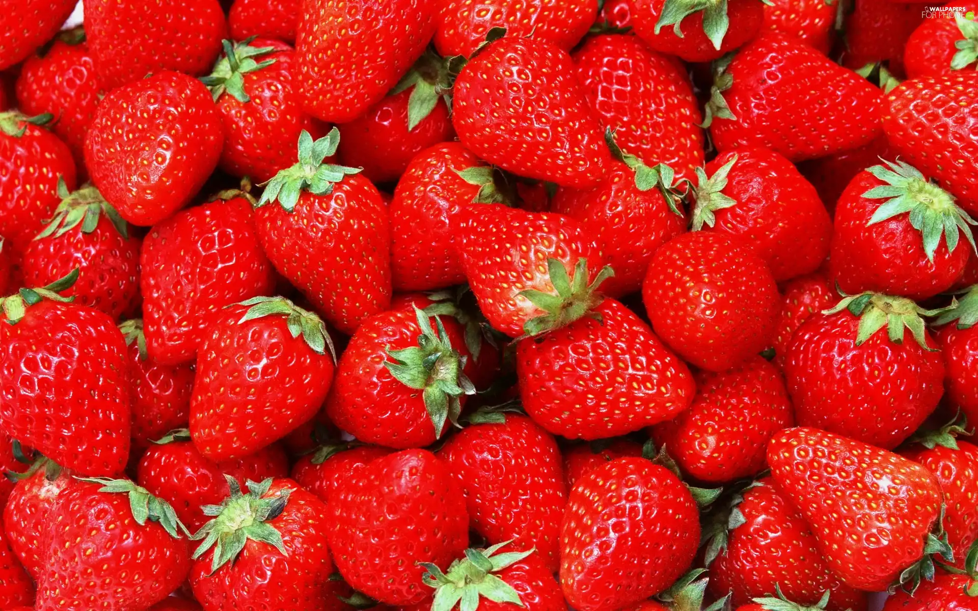 peduncle, Mature, strawberries