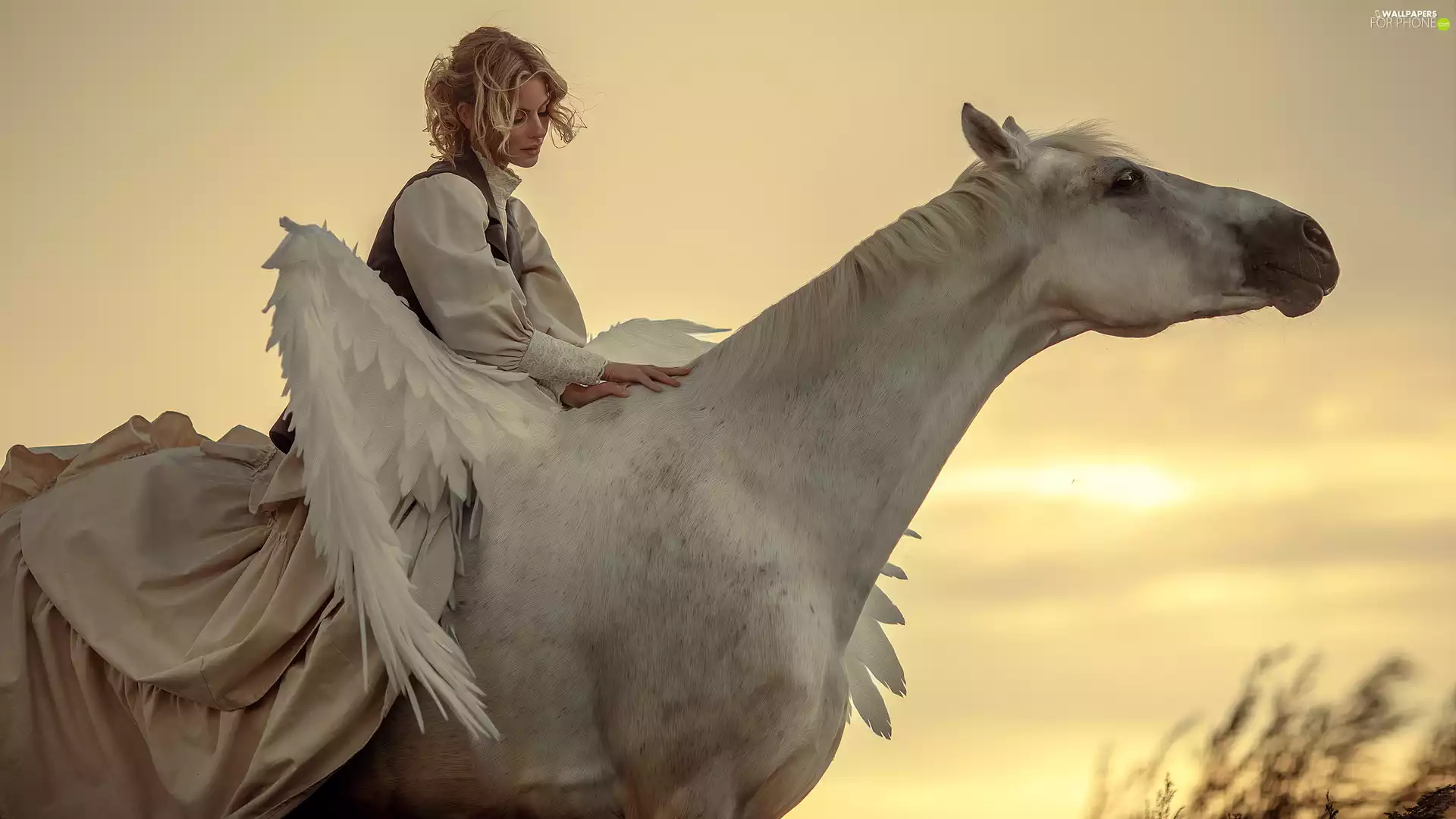 White, Women, wings, Pegasus, Horse, Blonde