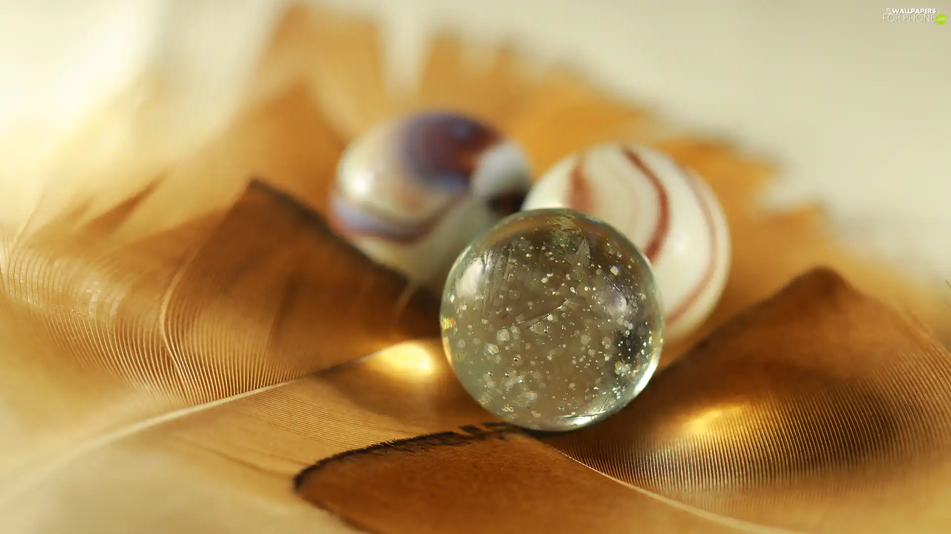 glass, Close, pen, Orbs