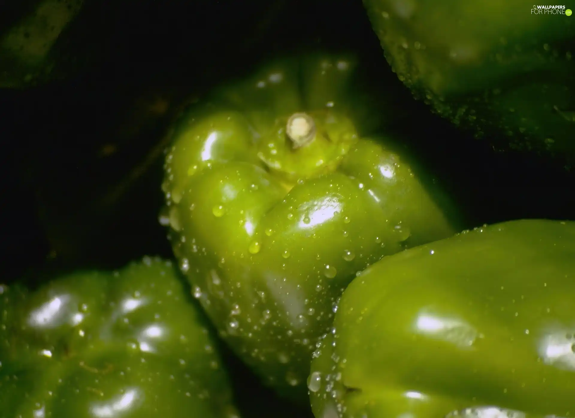 pepper, WET, Green
