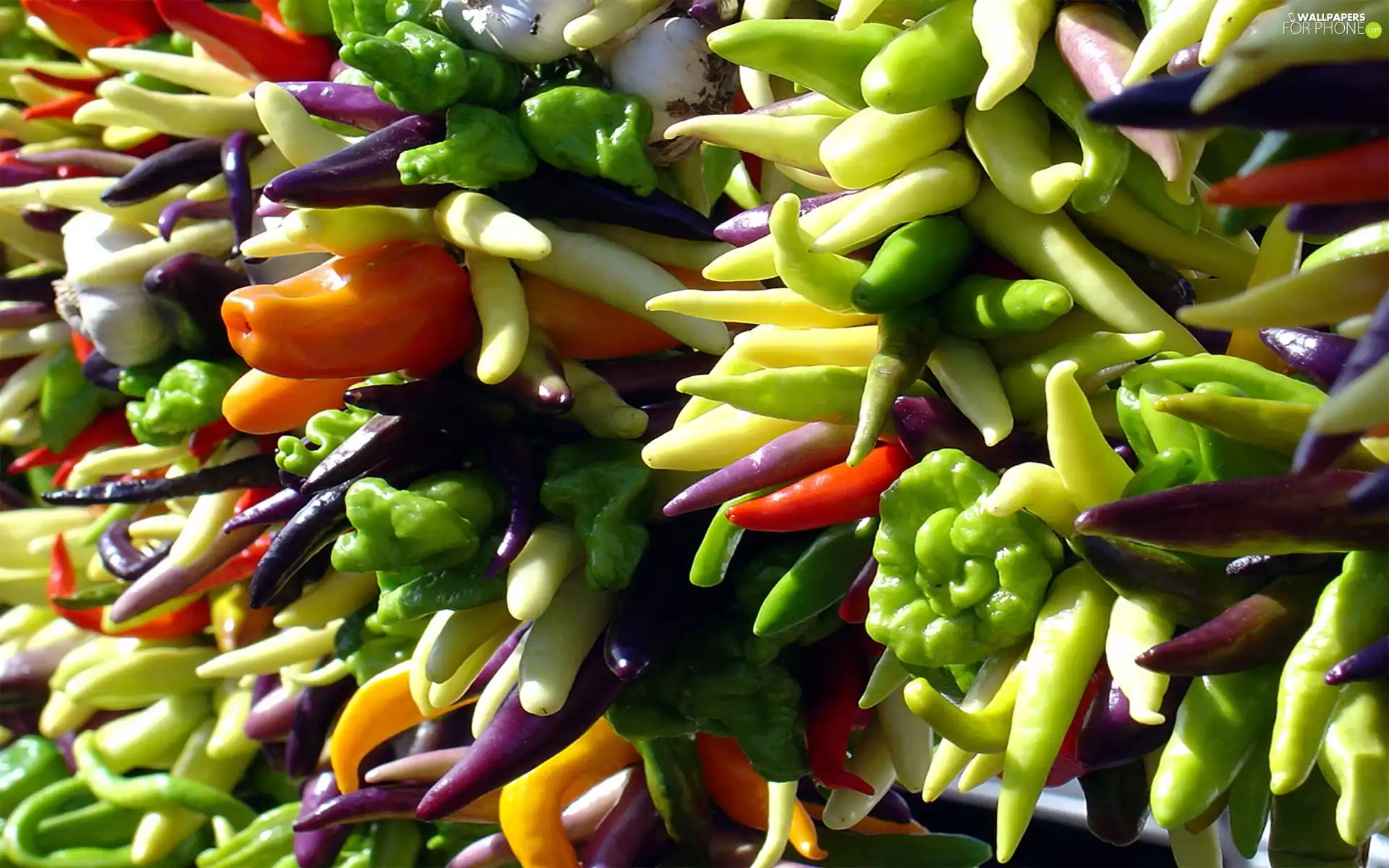 peppers, various, Variations