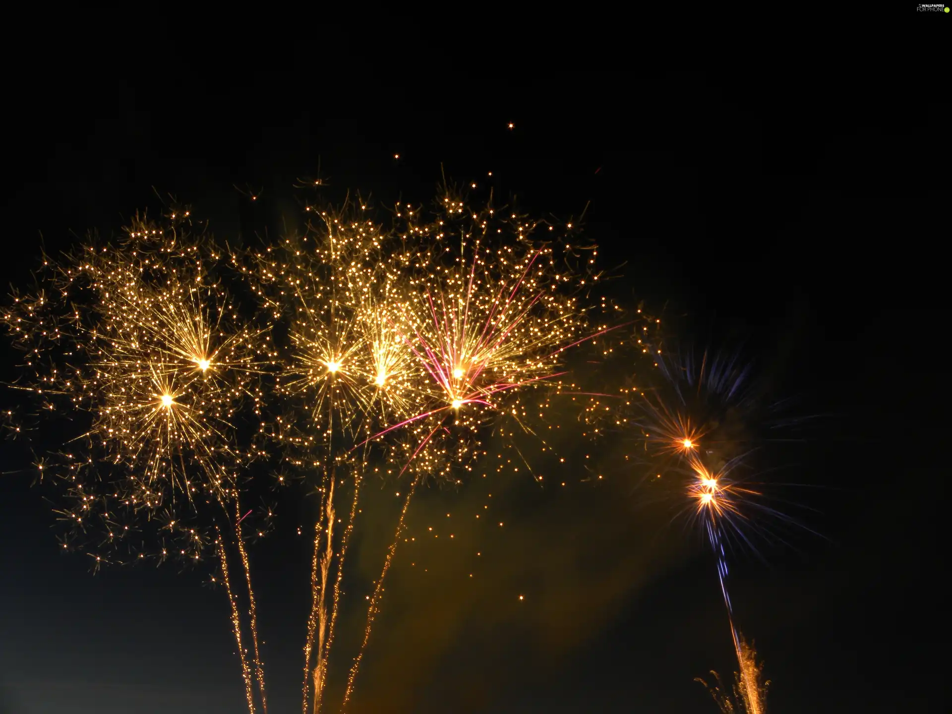 petard, New Year