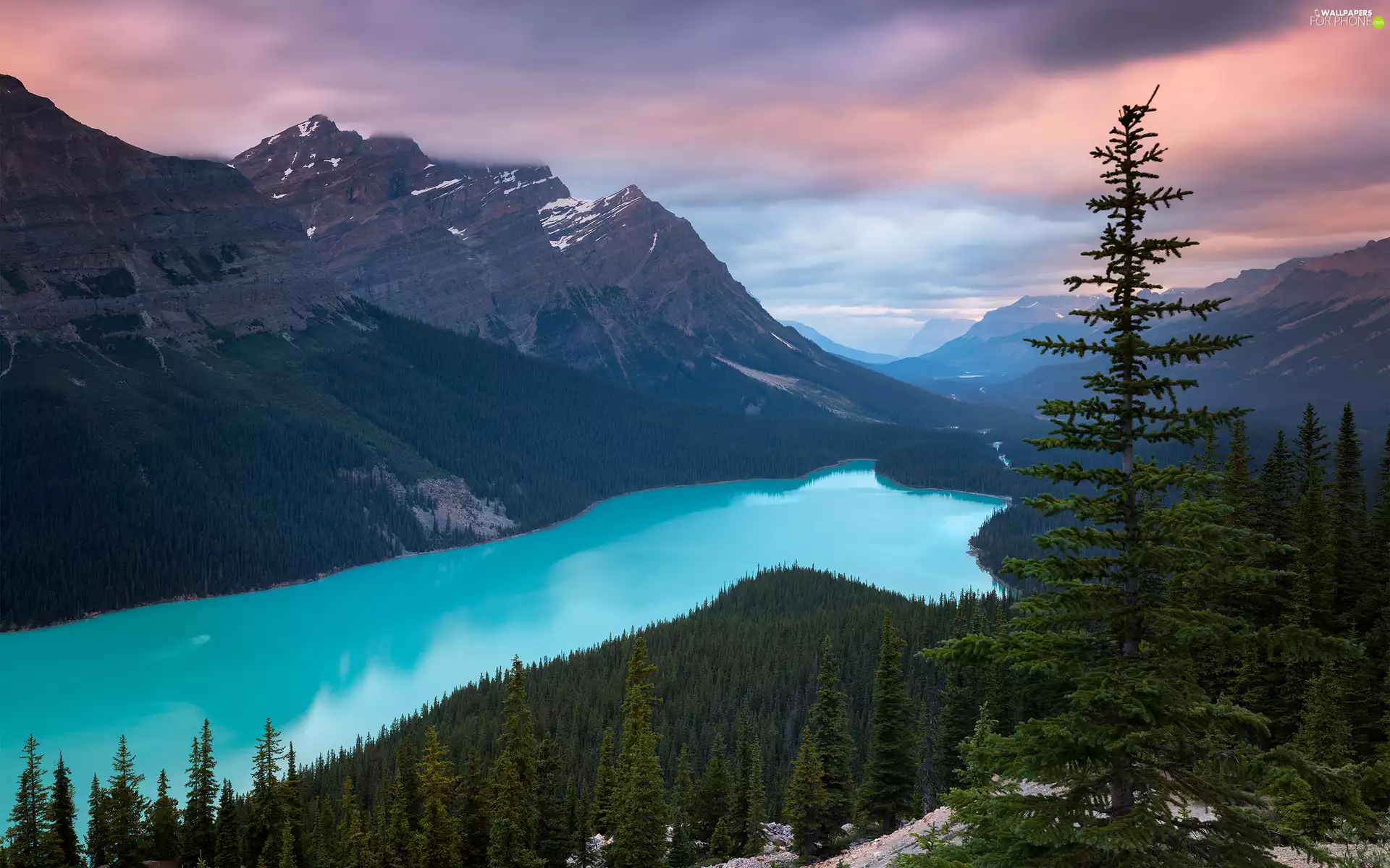 Mountains Canadian Rockies, Canada, forest, clouds, Peyto Lake, Banff National Park