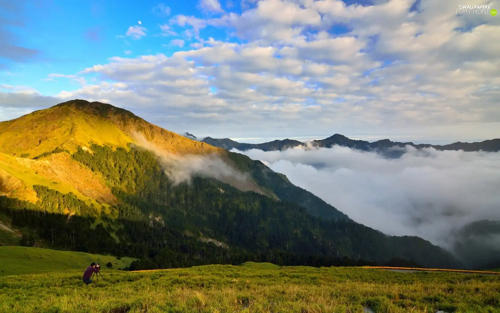 car in the meadow, a man, woods, Fog, Mountains, photographer