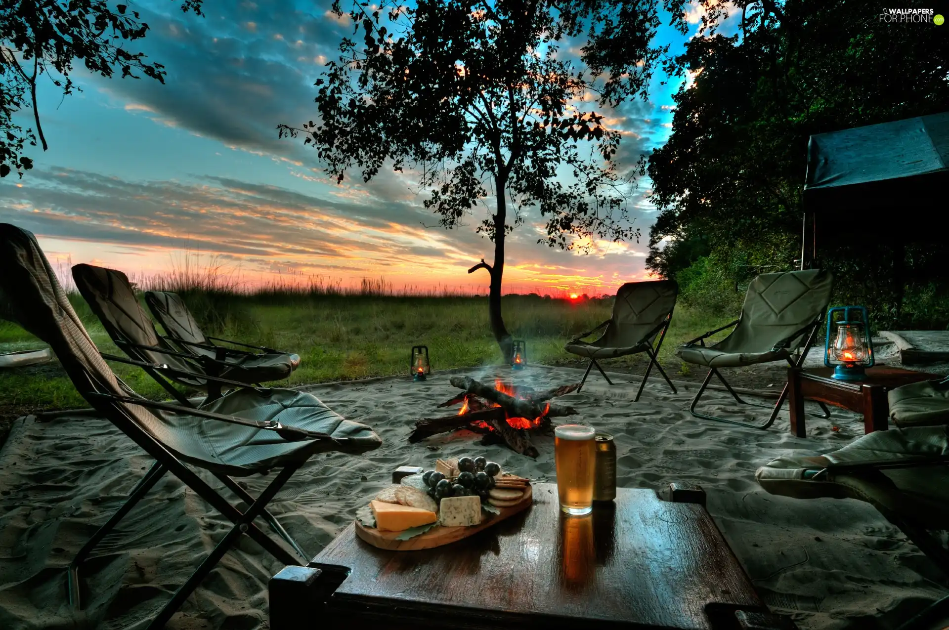 Meadow, picnic