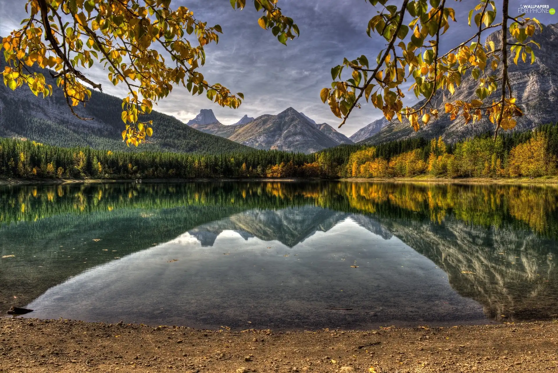 lake, Mountains, branch pics, trees, coast, woods