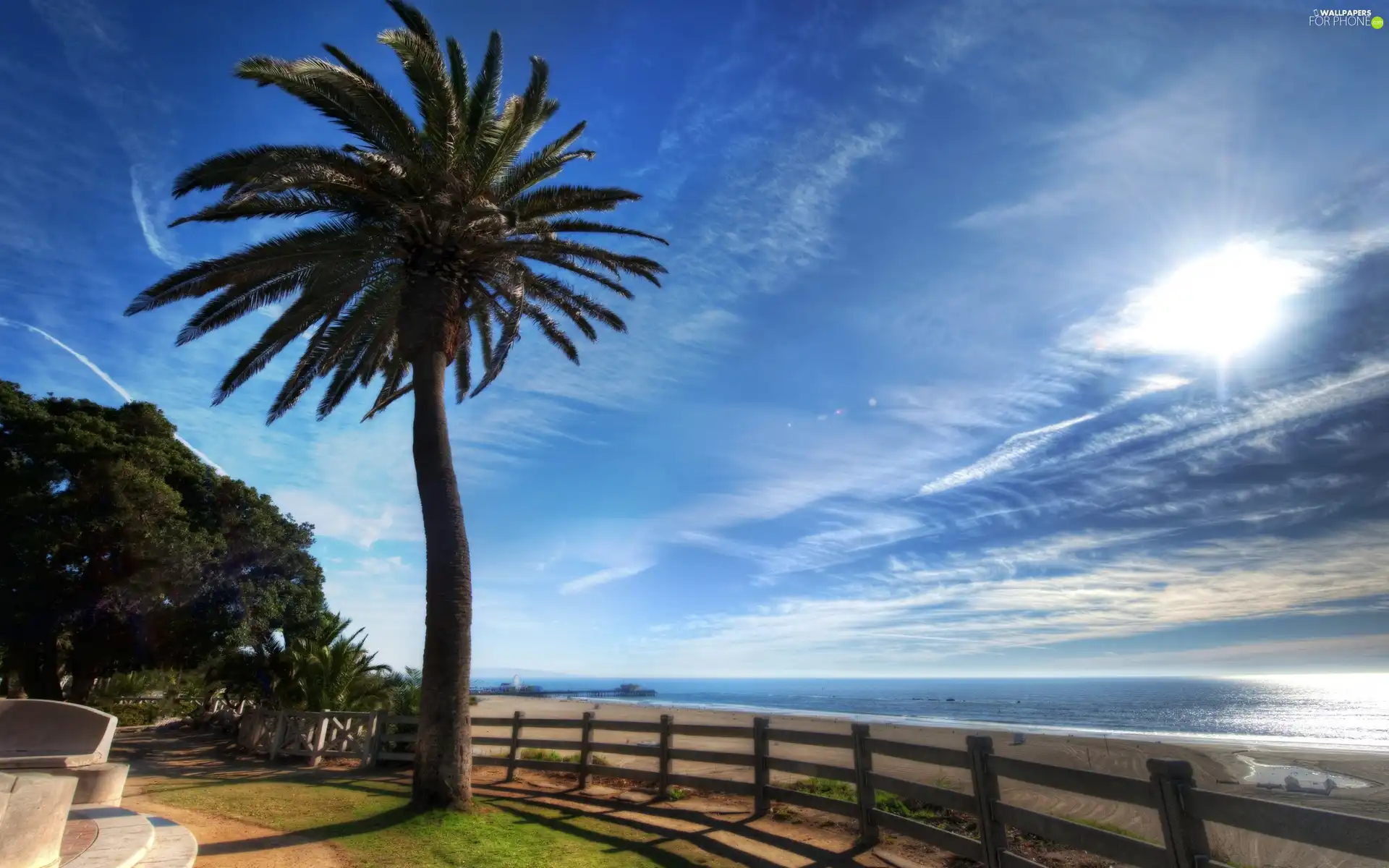 ligh, Beaches, Palm, flash, clouds, Coast, pier, luminosity, sun, Przebijające