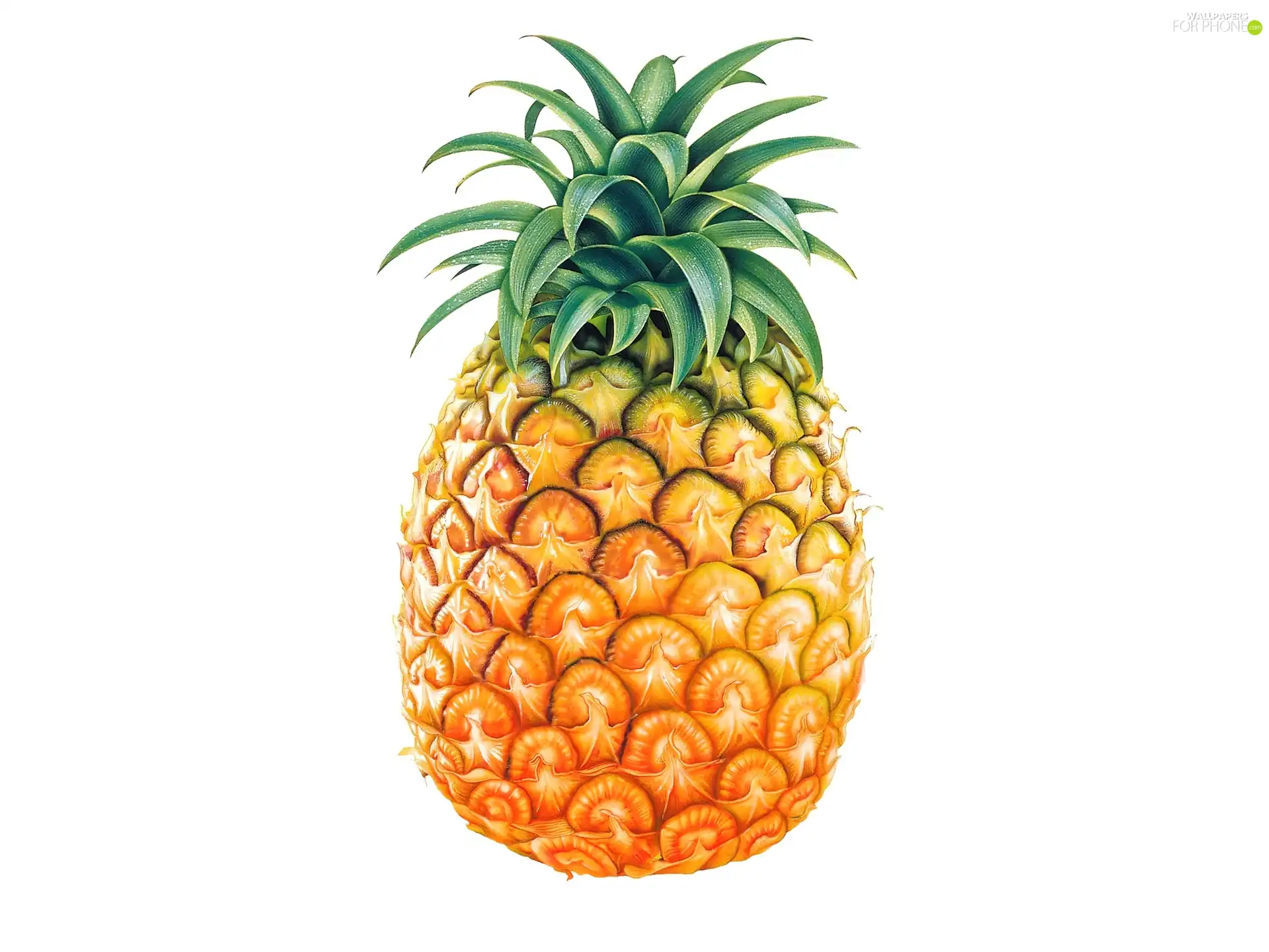 fruit, pineapple