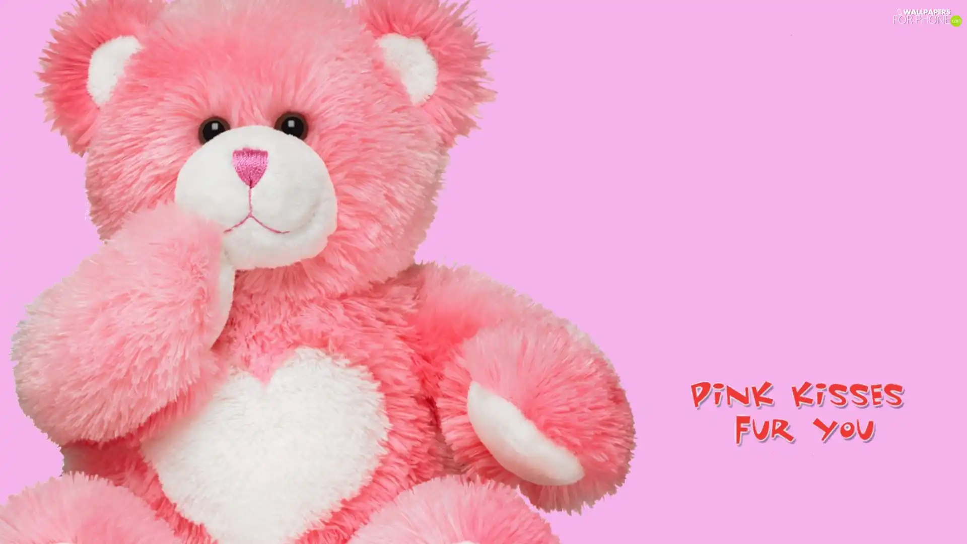 Fur, teddy bear, Pink