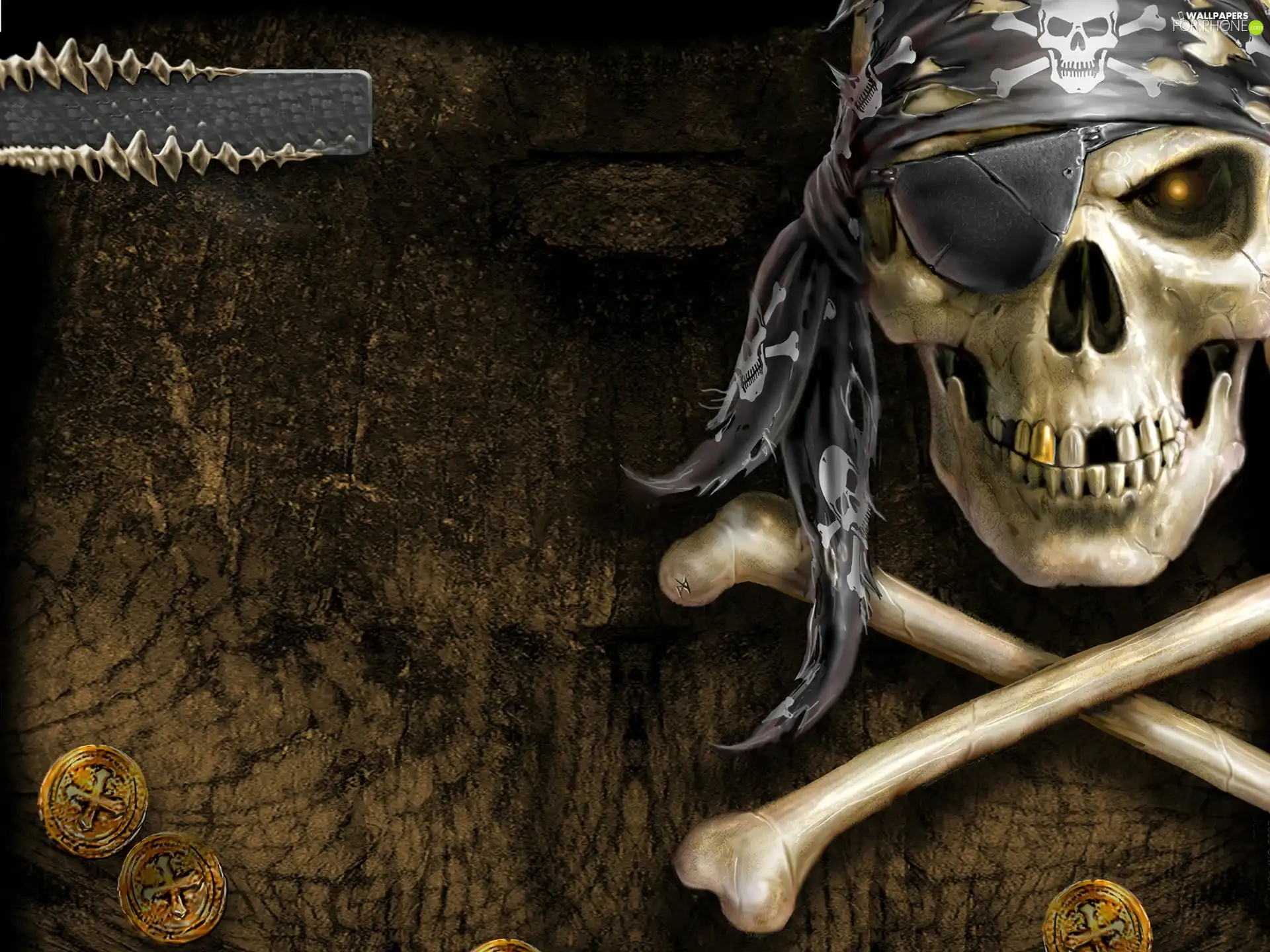 skull, bones, Pirate, Band