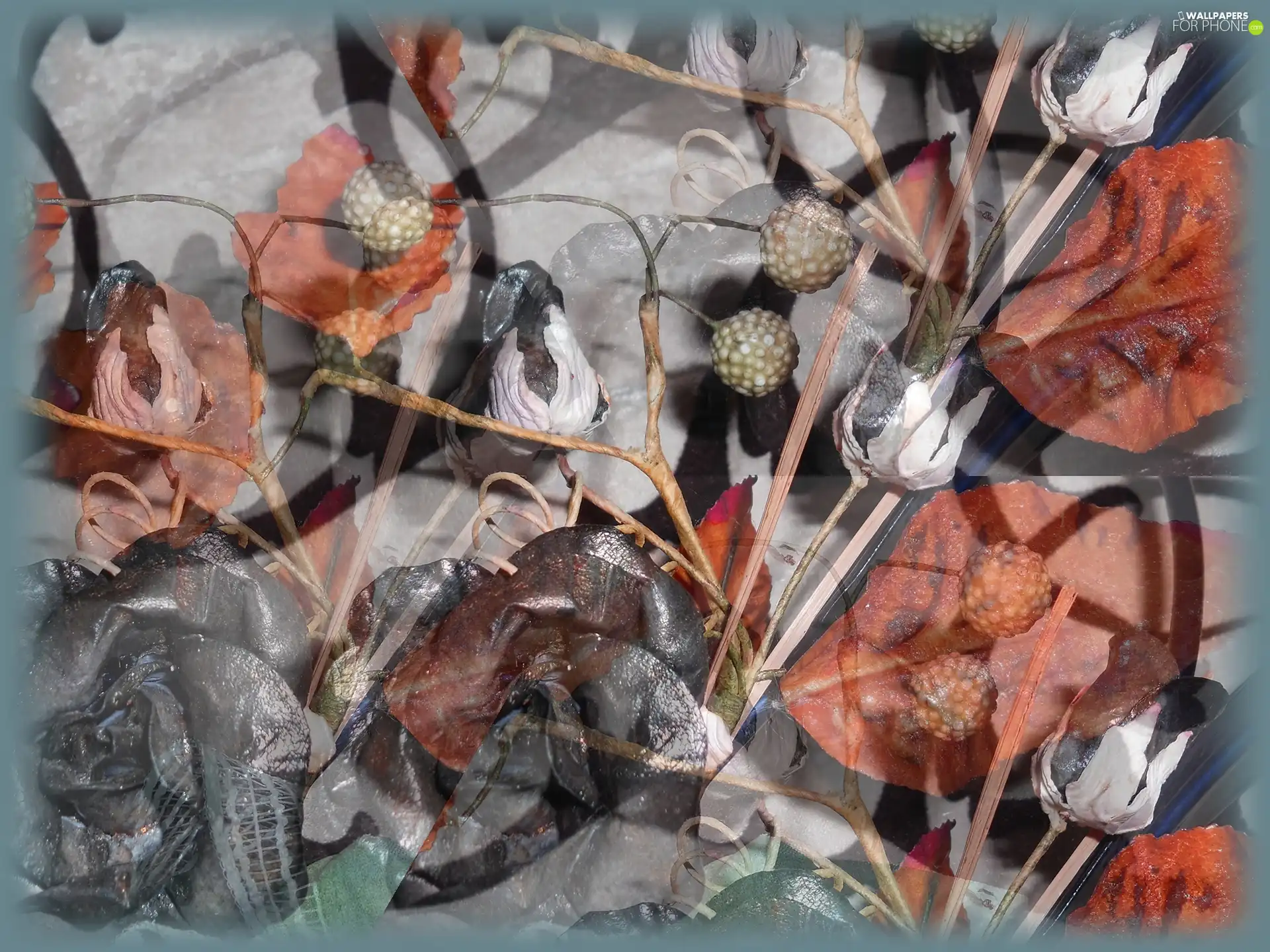 Plants, Leaf, Autumn