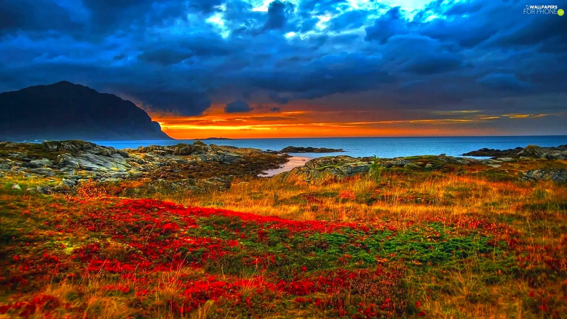 clouds, Stones rocks, Plants, sea