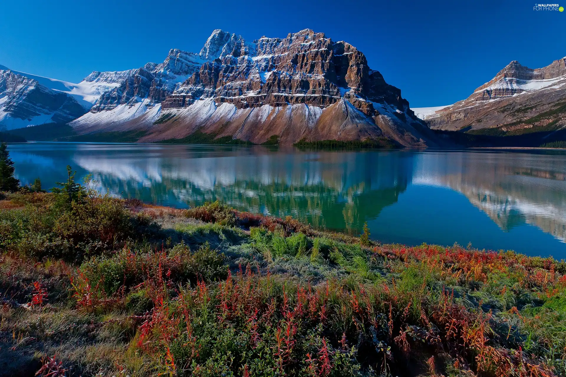 plants, Mountains, lake