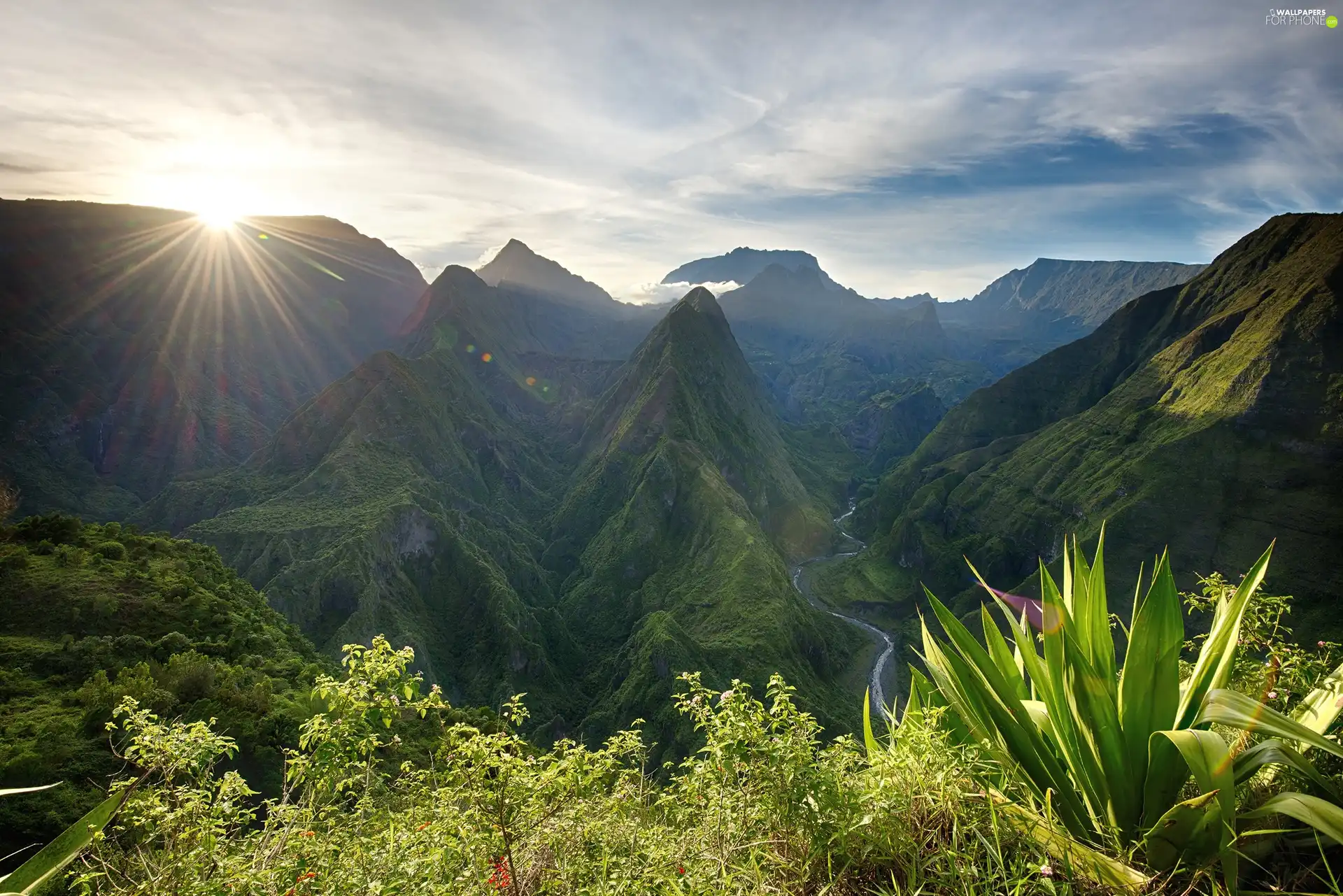 Mountains, sun, Plants, rays