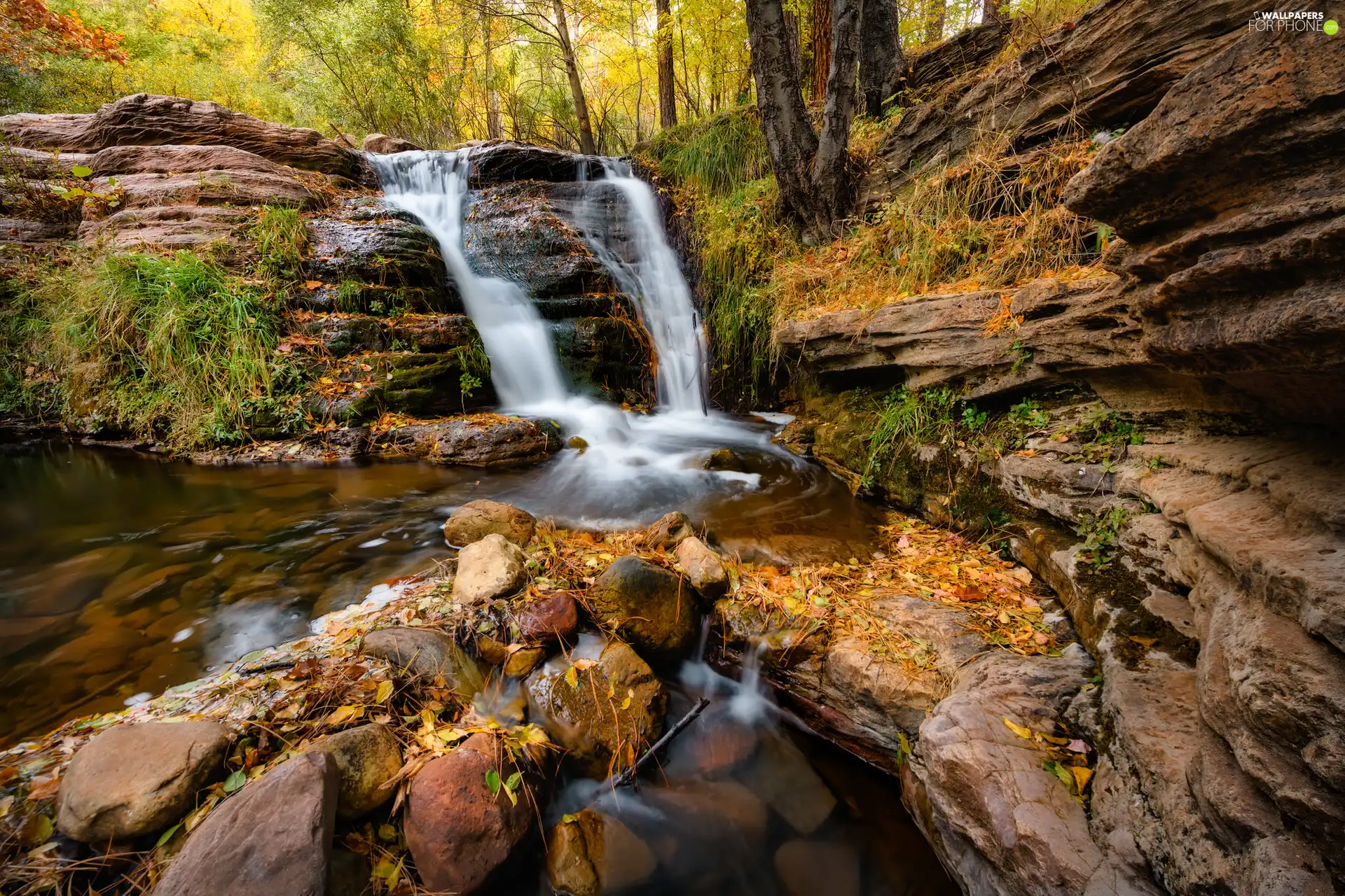 Stones, Plants, River, rocks, waterfall
