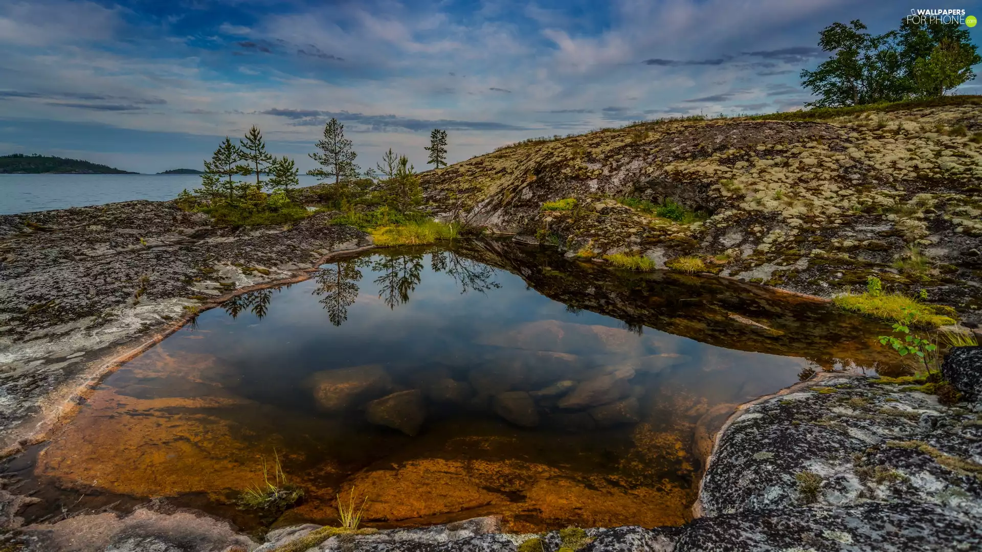 puddle, lake, viewes, Plants, trees, rocks