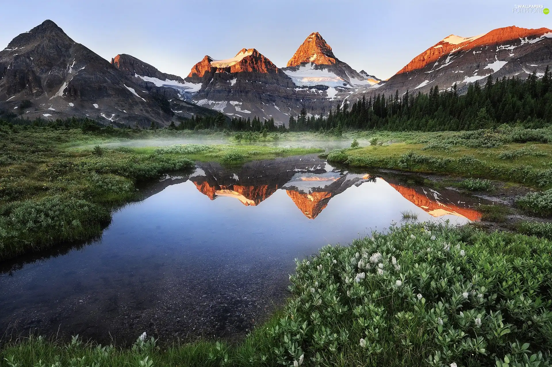 Plants, water, trees, viewes, Mountains