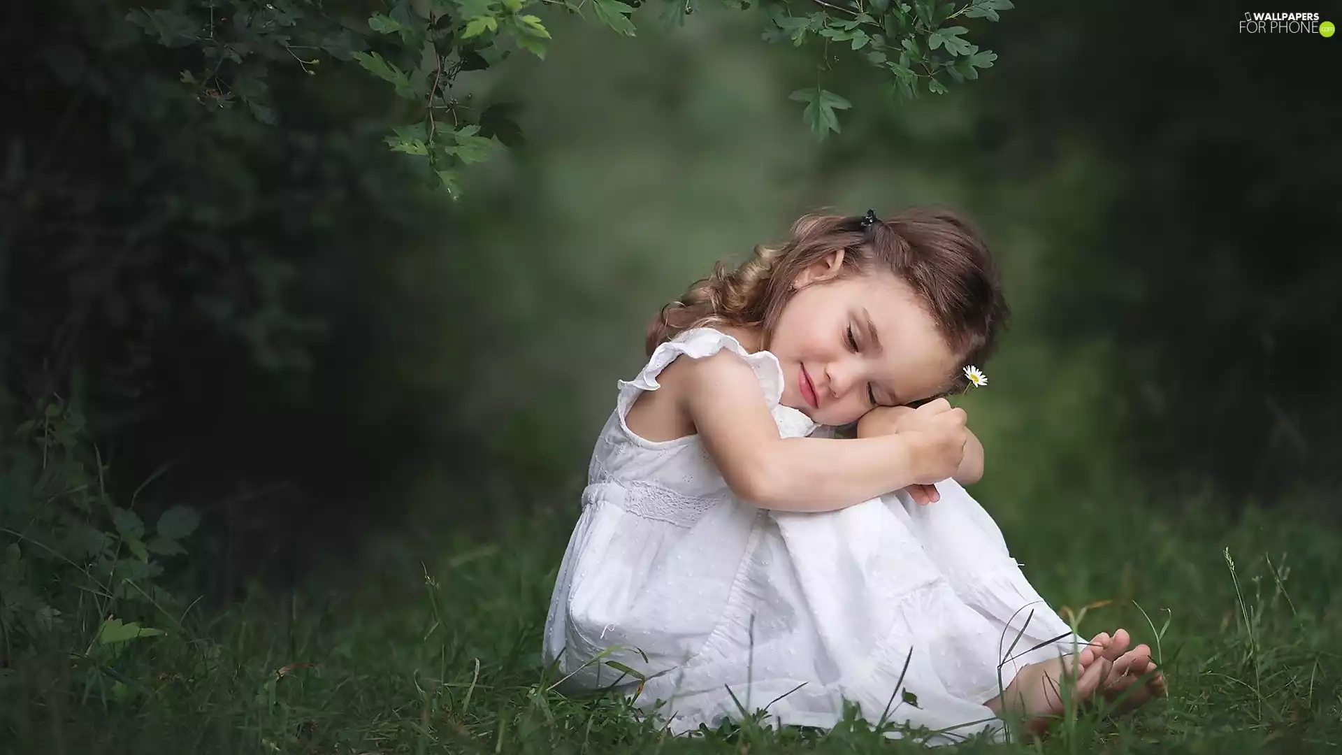 grass, Plants, White, dress, girl