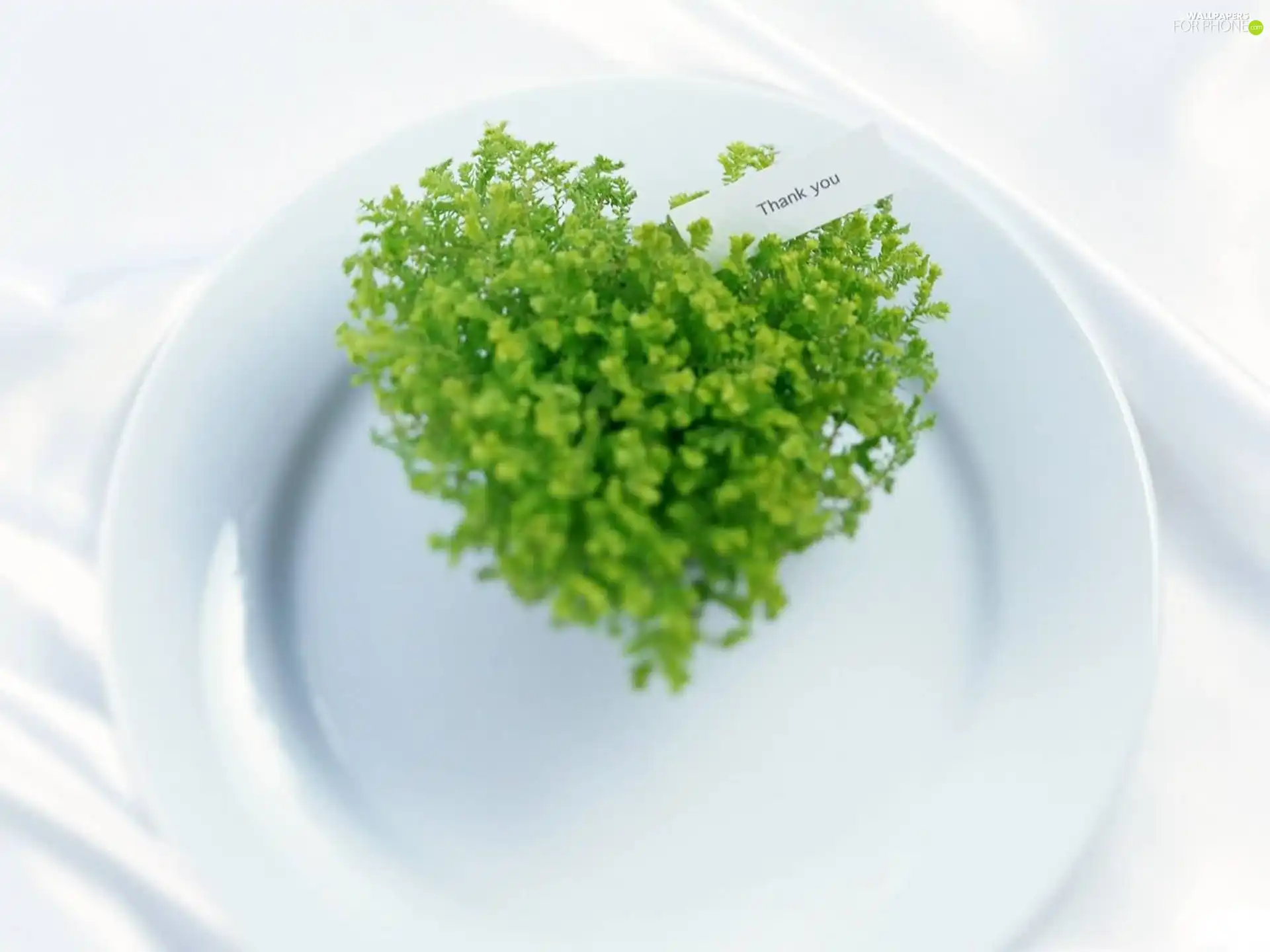 Heart, plate