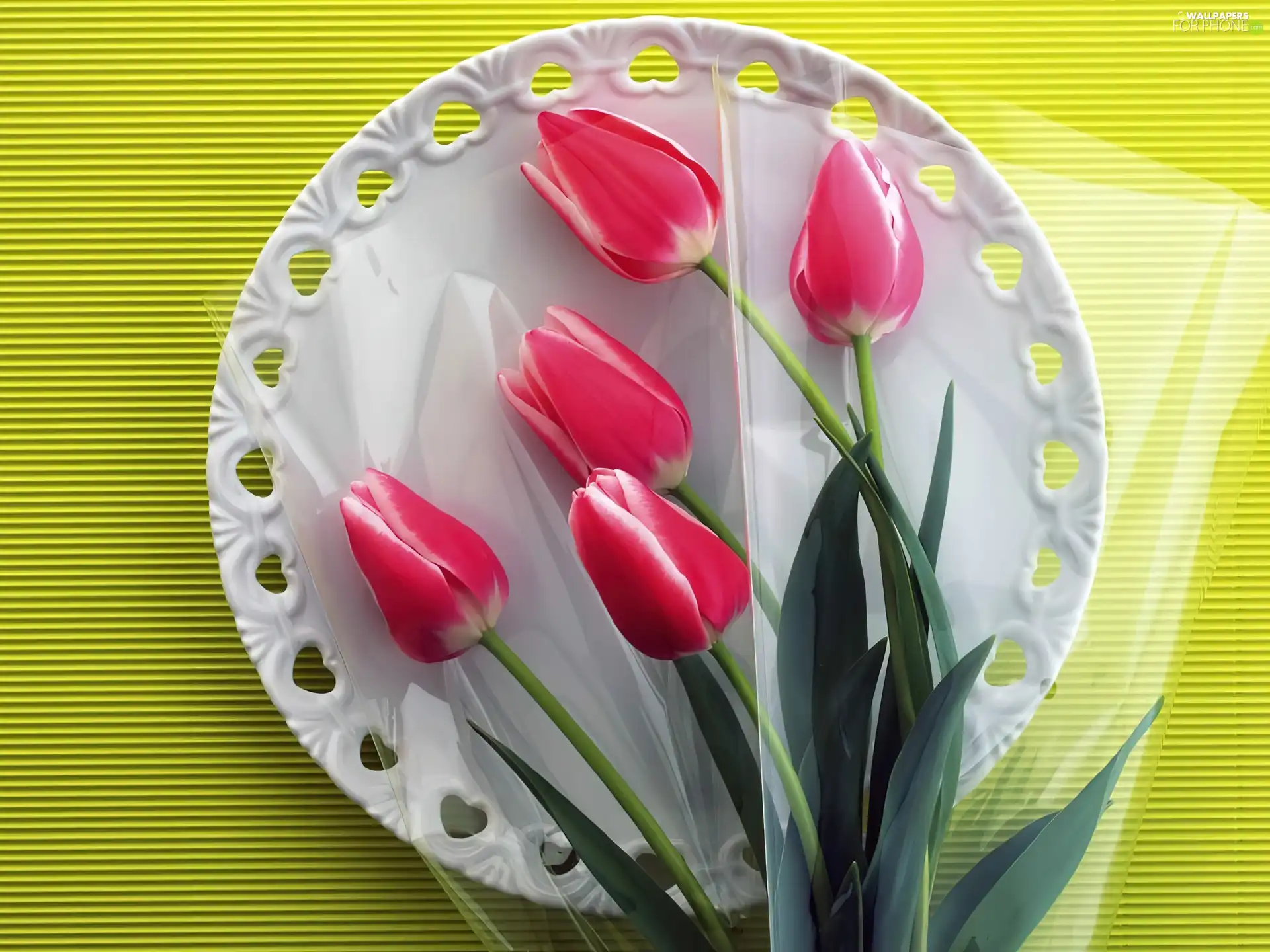 Tulips, plate