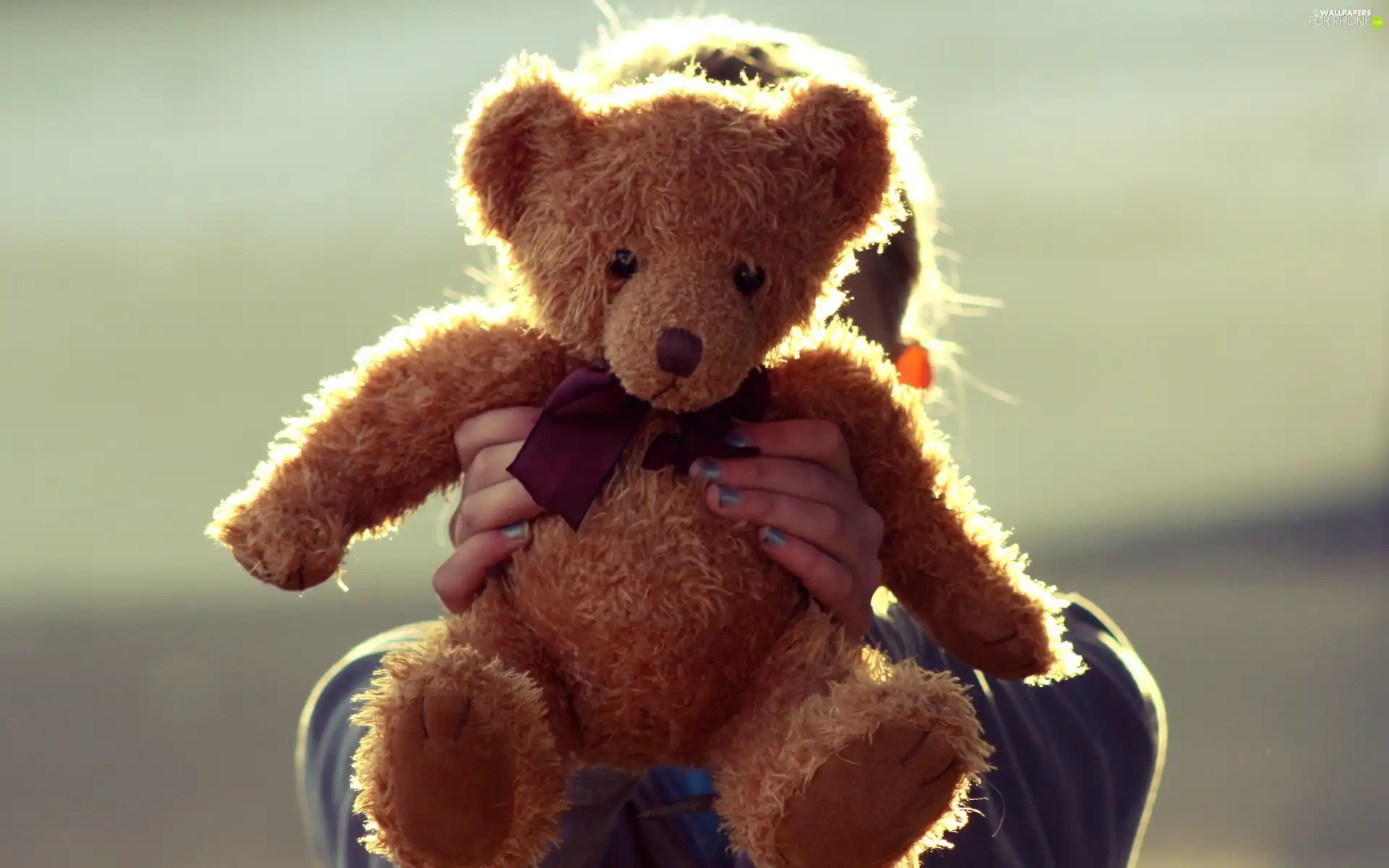 Kid, teddy bear, plush toy