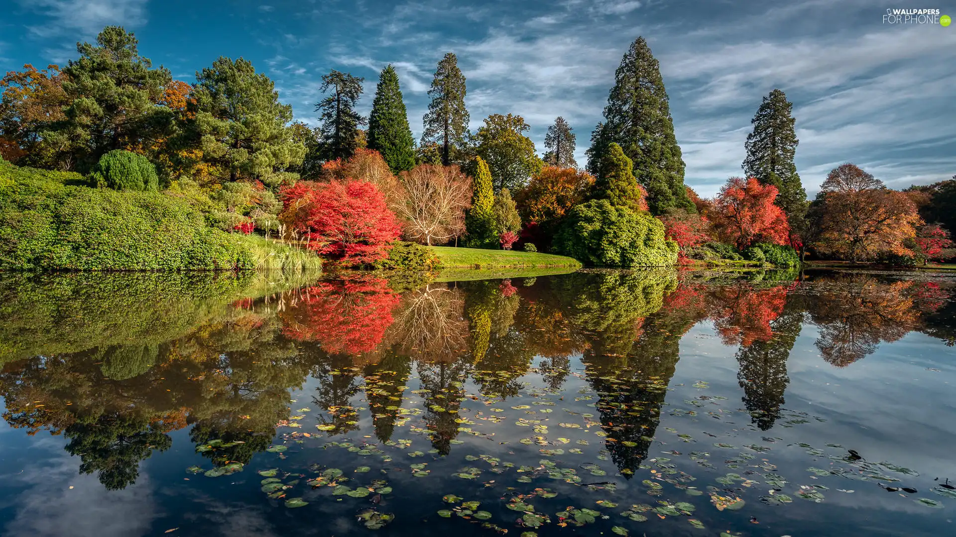 Pond - car, Park, autumn, trees, clouds, nature, reflection, grass, viewes