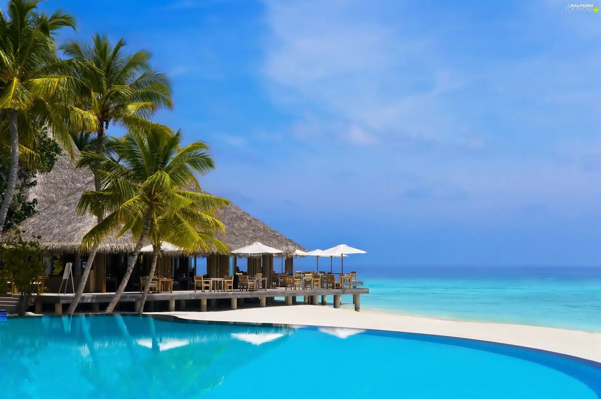 Bungalow, Palms, Pool, sea