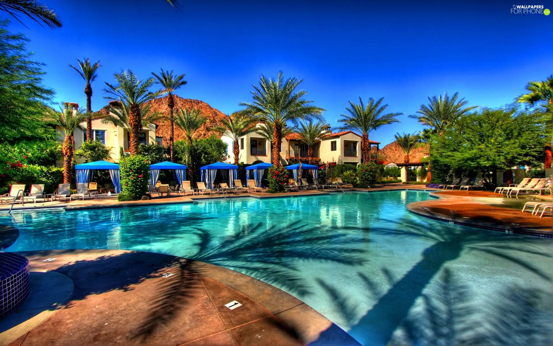 Palms, Hotel hall, Pool