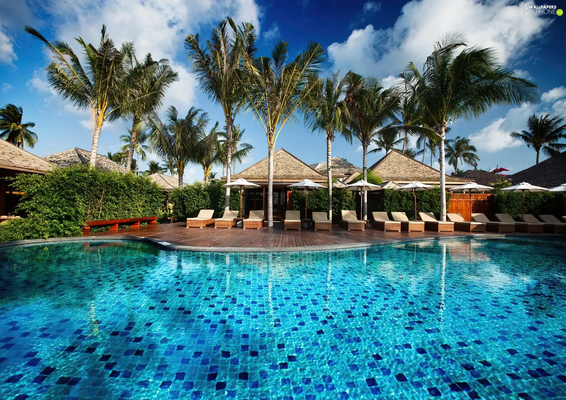 Palms, Hotel hall, Pool