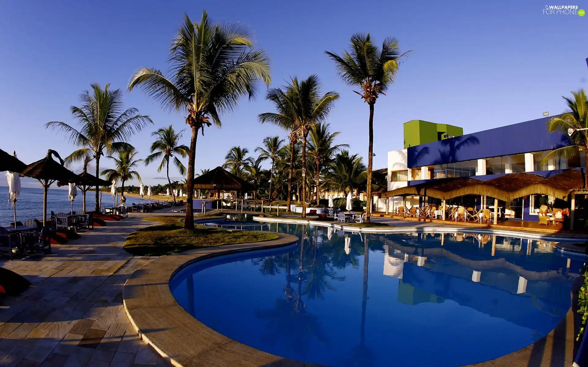 Palms, Hotel hall, Pool