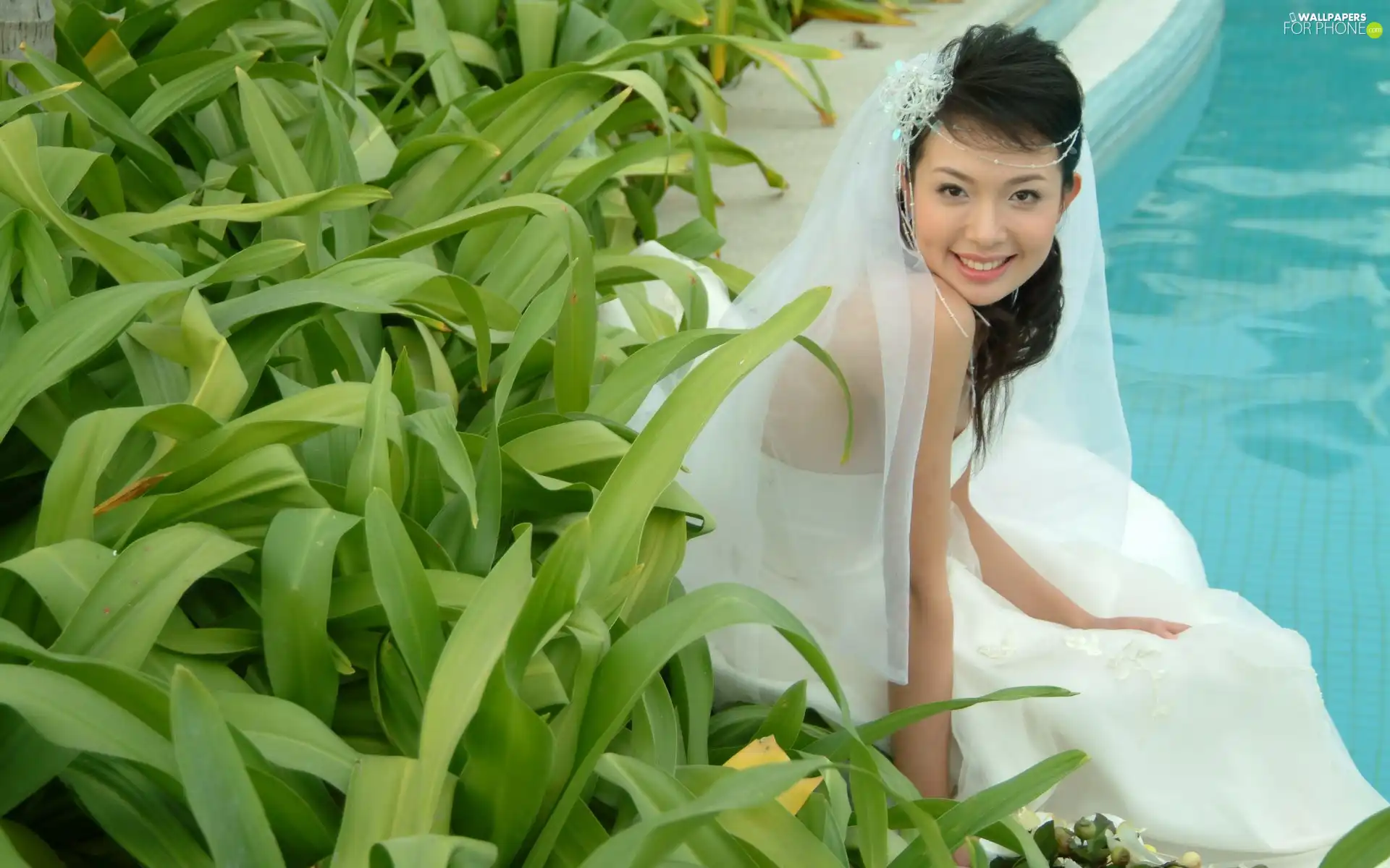 Pool, veil, lady, young, Women