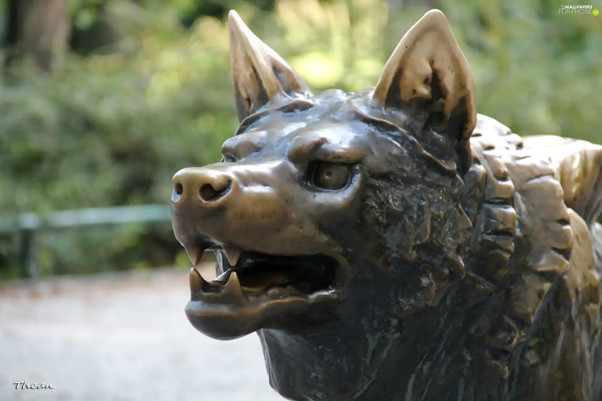 Wolf, old Zoo, Poznań, sculpture