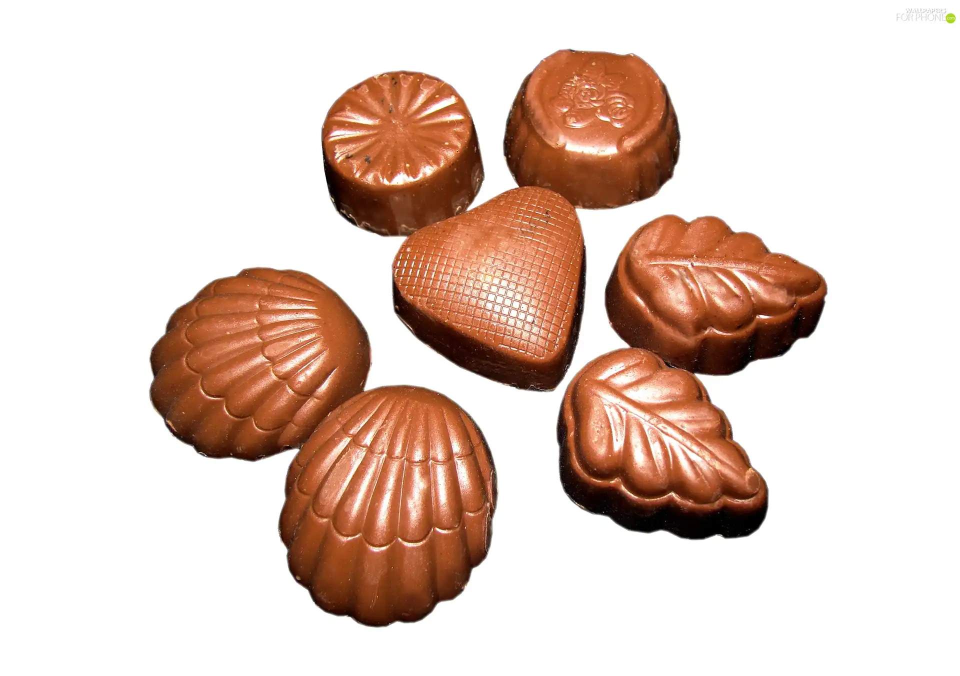 chocolate, pralines